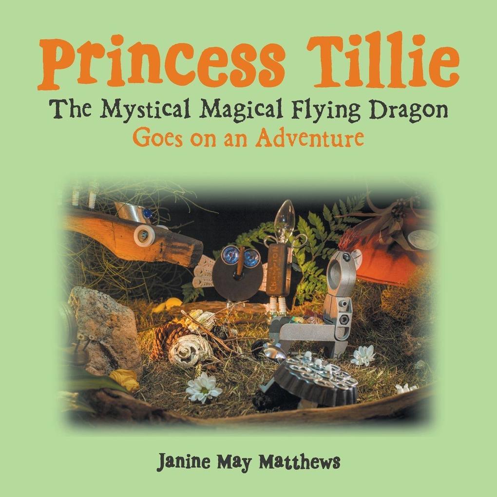 Princess Tillie The Mystical Magical Flying Dragon Goes on an Adventure