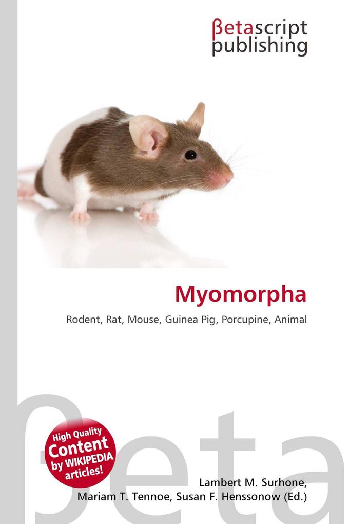 Myomorpha