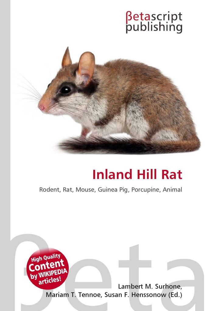 Inland Hill Rat