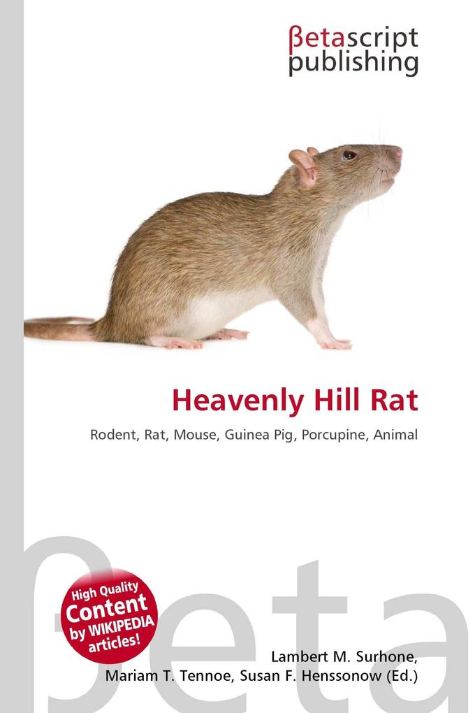 Heavenly Hill Rat