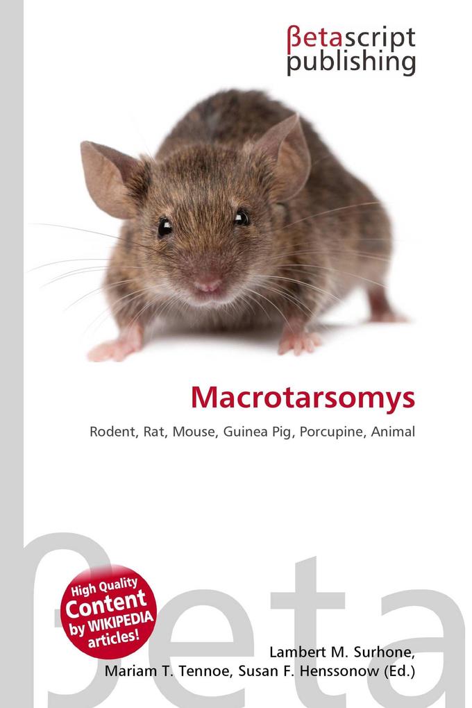Macrotarsomys