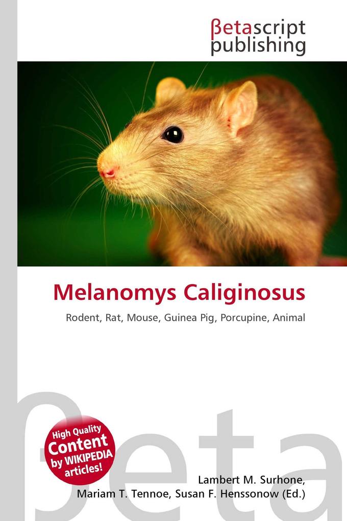 Melanomys Caliginosus