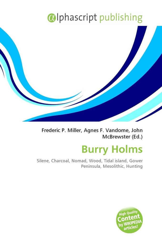 Burry Holms