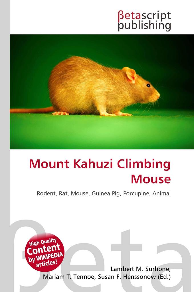 Mount Kahuzi Climbing Mouse