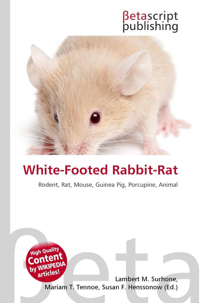 White-Footed Rabbit-Rat