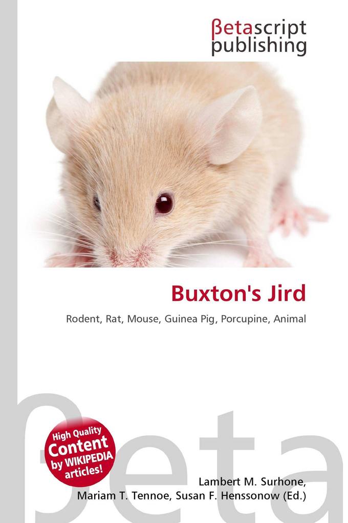 Buxton's Jird