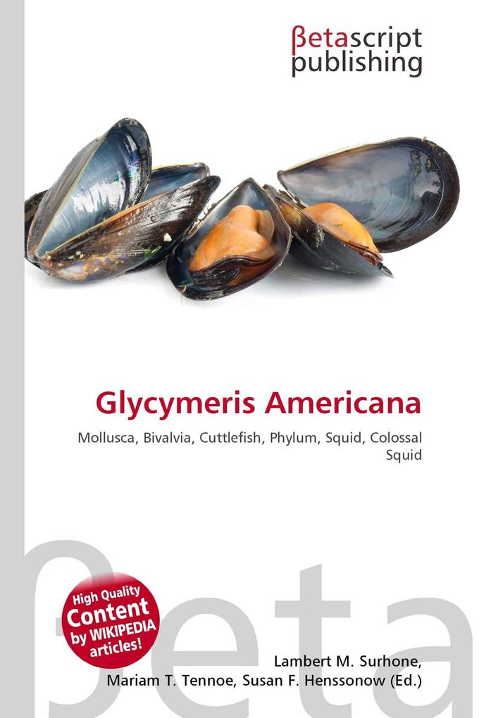 Glycymeris Americana