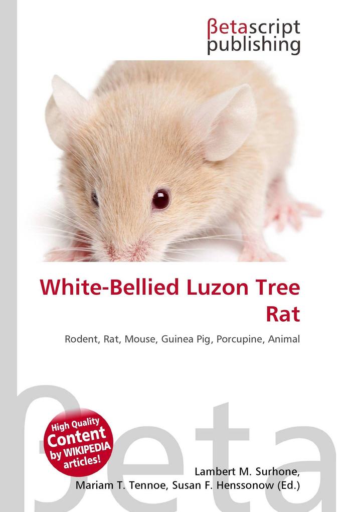 White-Bellied Luzon Tree Rat