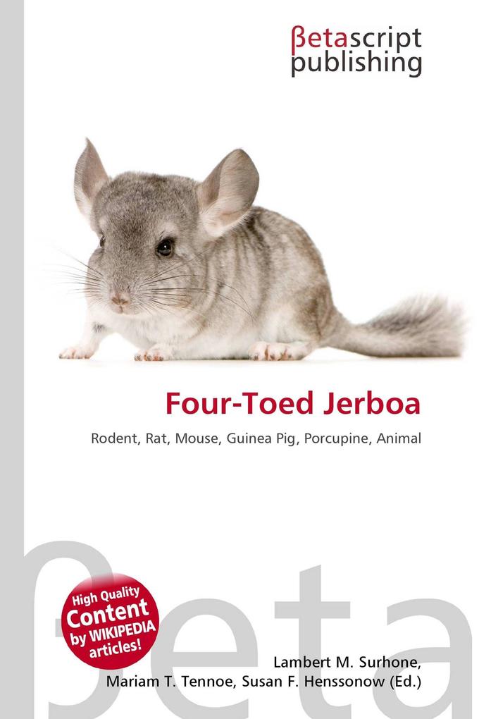 Four-Toed Jerboa