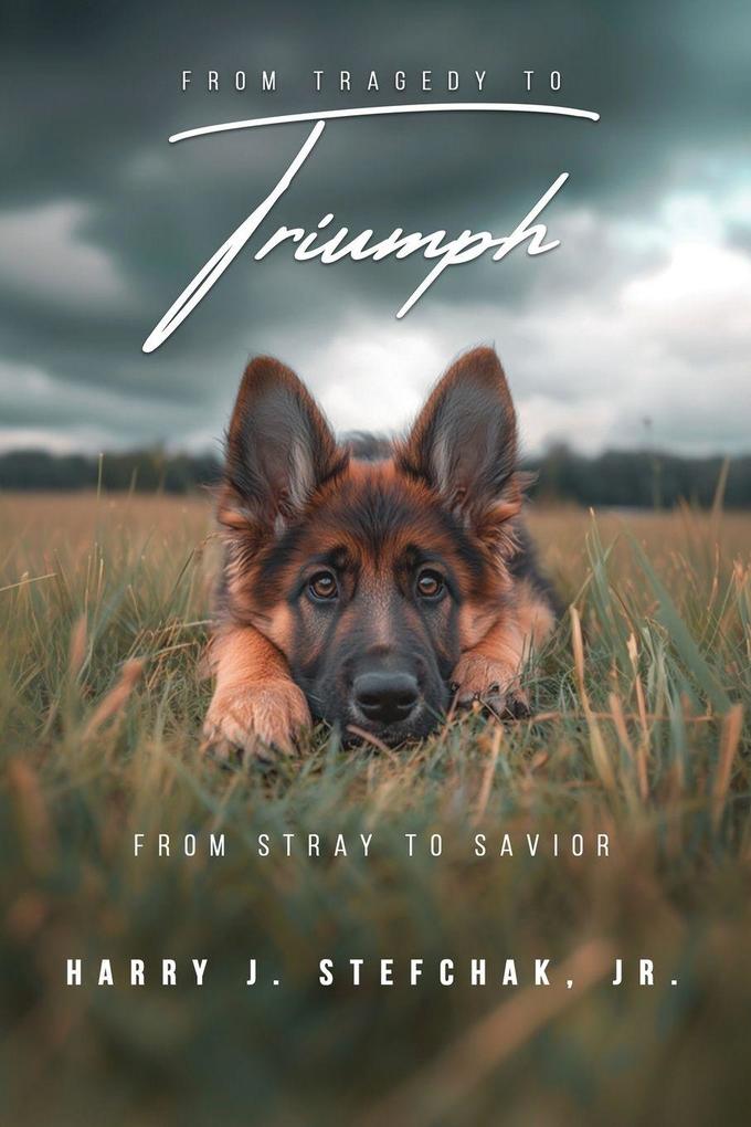From Tragedy to Triumph