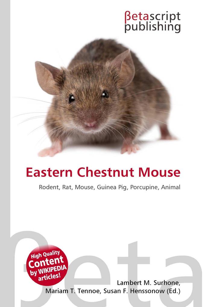 Eastern Chestnut Mouse