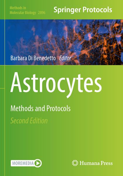 Astrocytes