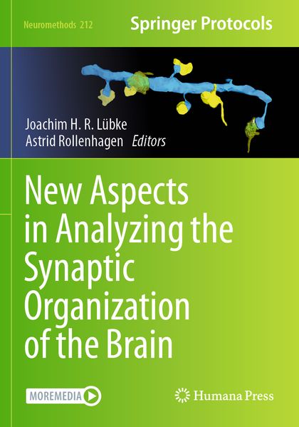 New Aspects in Analyzing the Synaptic Organization of the Brain