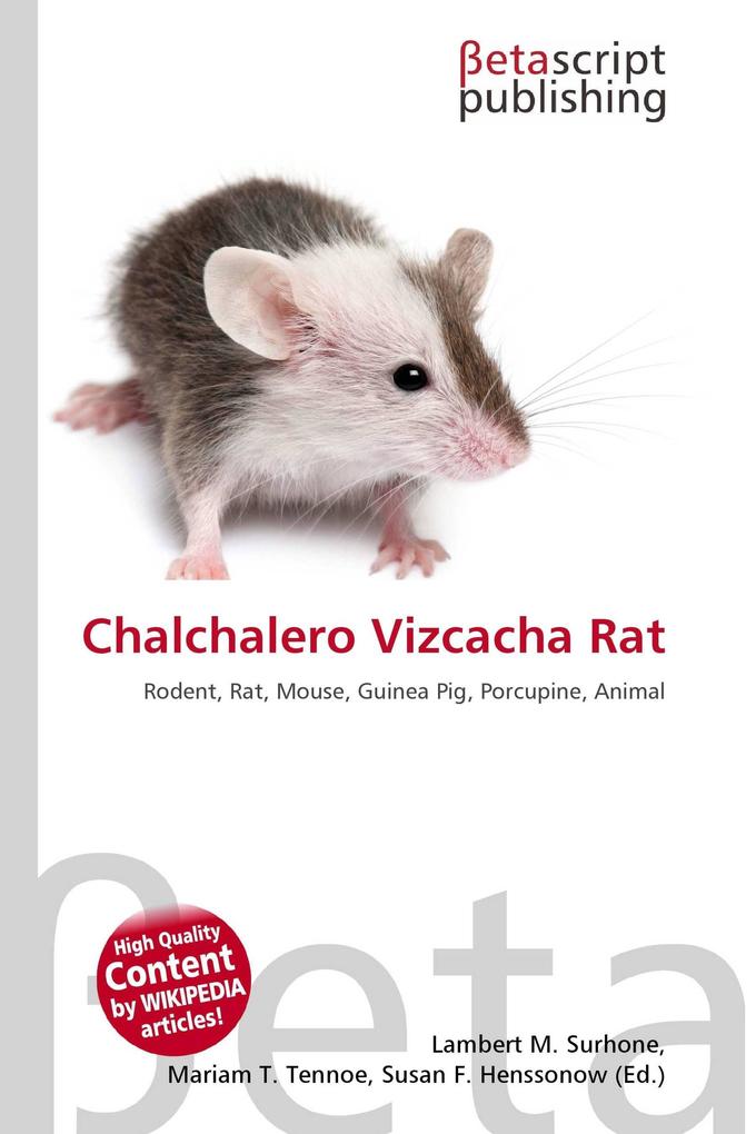 Chalchalero Vizcacha Rat