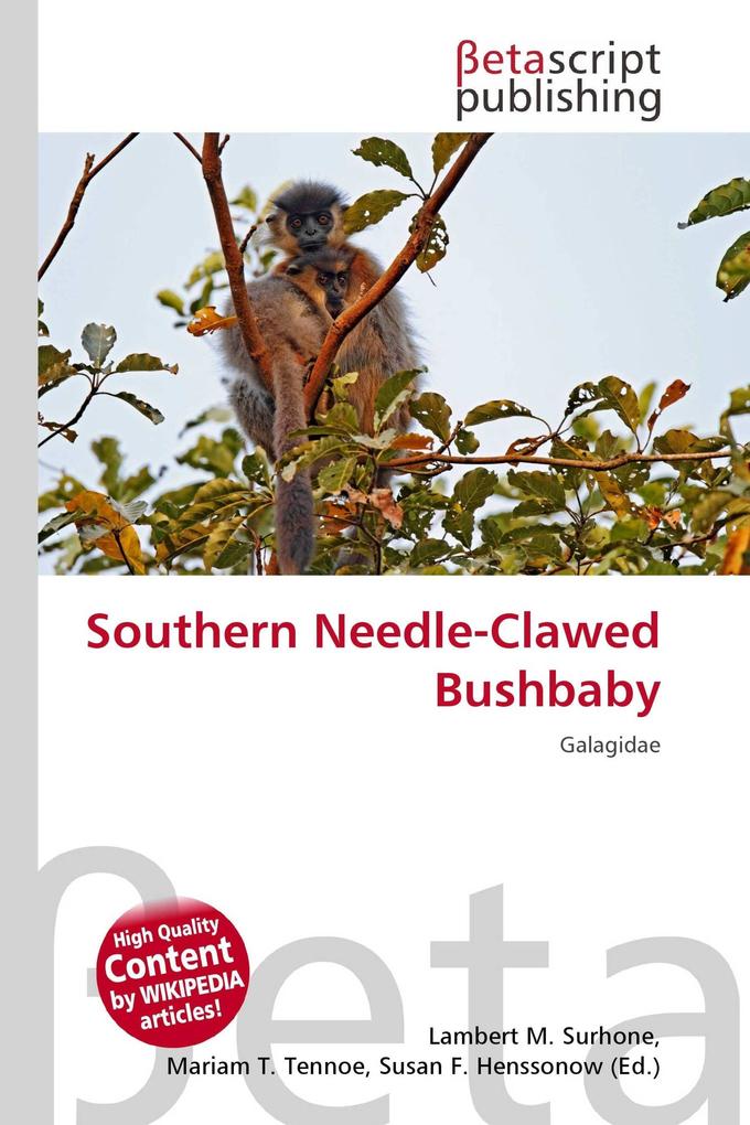 Southern Needle-Clawed Bushbaby