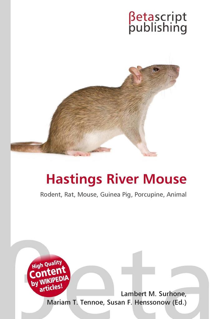 Hastings River Mouse