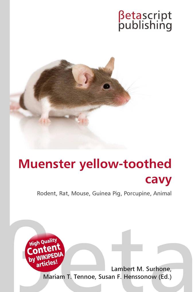 Muenster yellow-toothed cavy