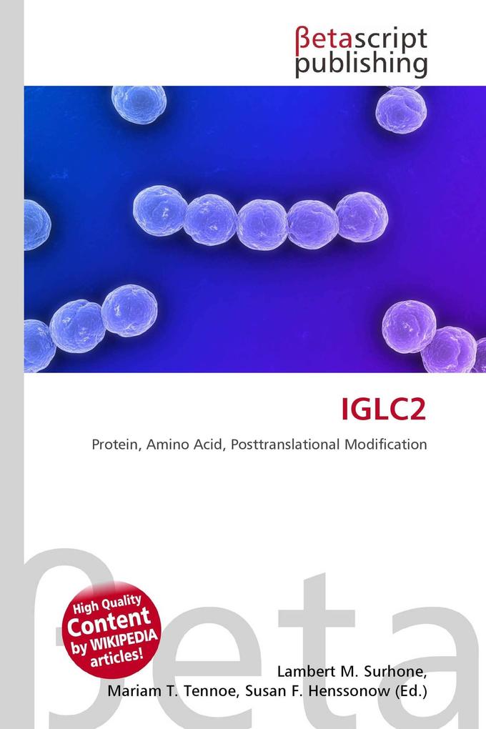 IGLC2