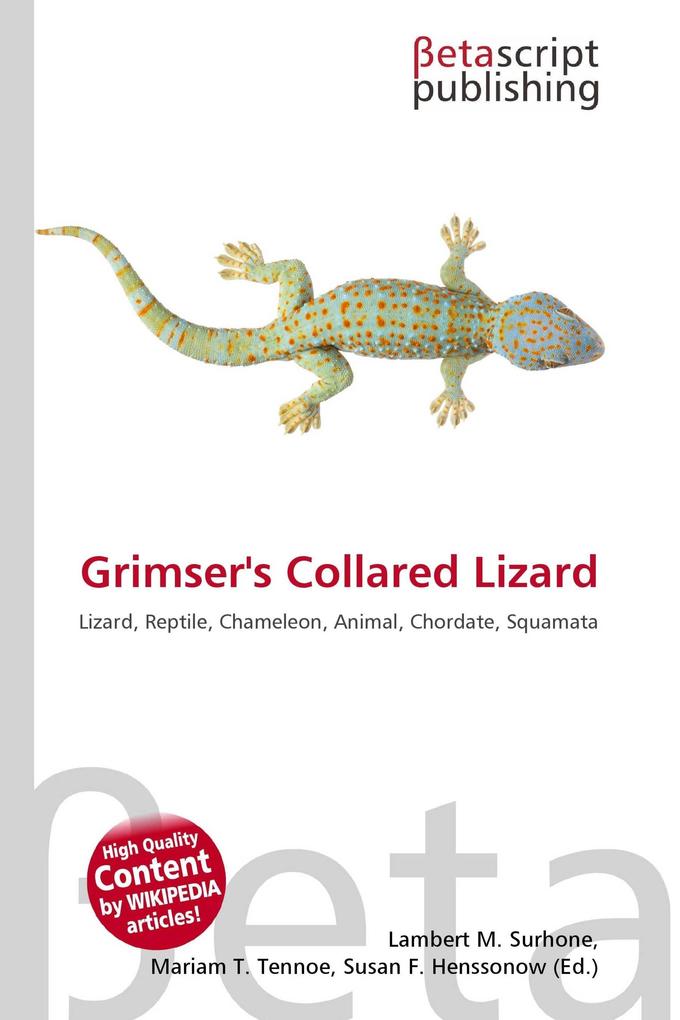 Grimser's Collared Lizard