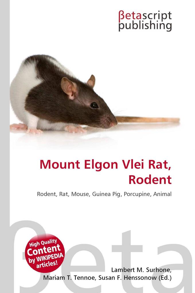 Mount Elgon Vlei Rat Rodent