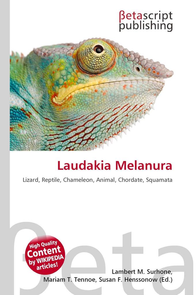 Laudakia Melanura