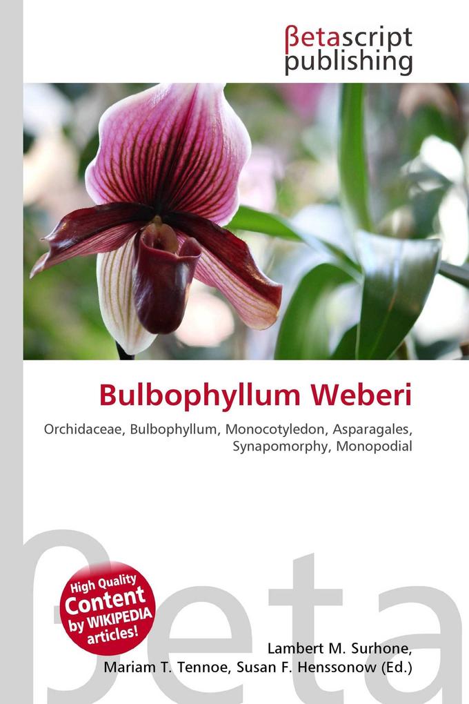 Bulbophyllum Weberi
