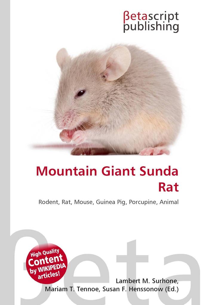 Mountain Giant Sunda Rat
