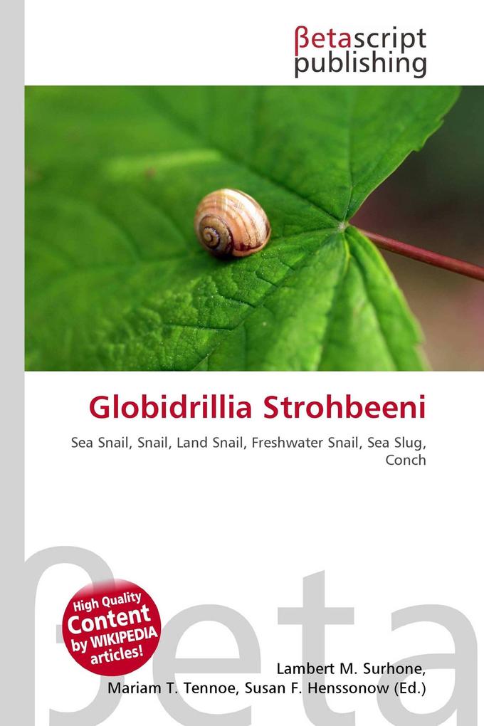Globidrillia Strohbeeni
