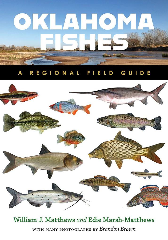 Oklahoma Fishes