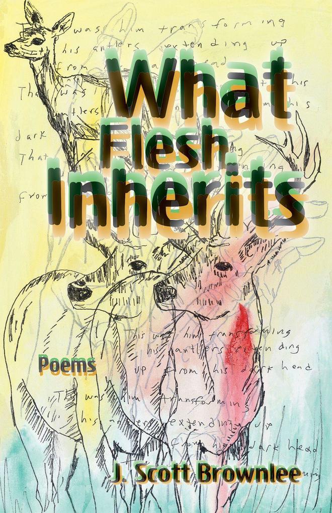 What Flesh Inherits Volume 14