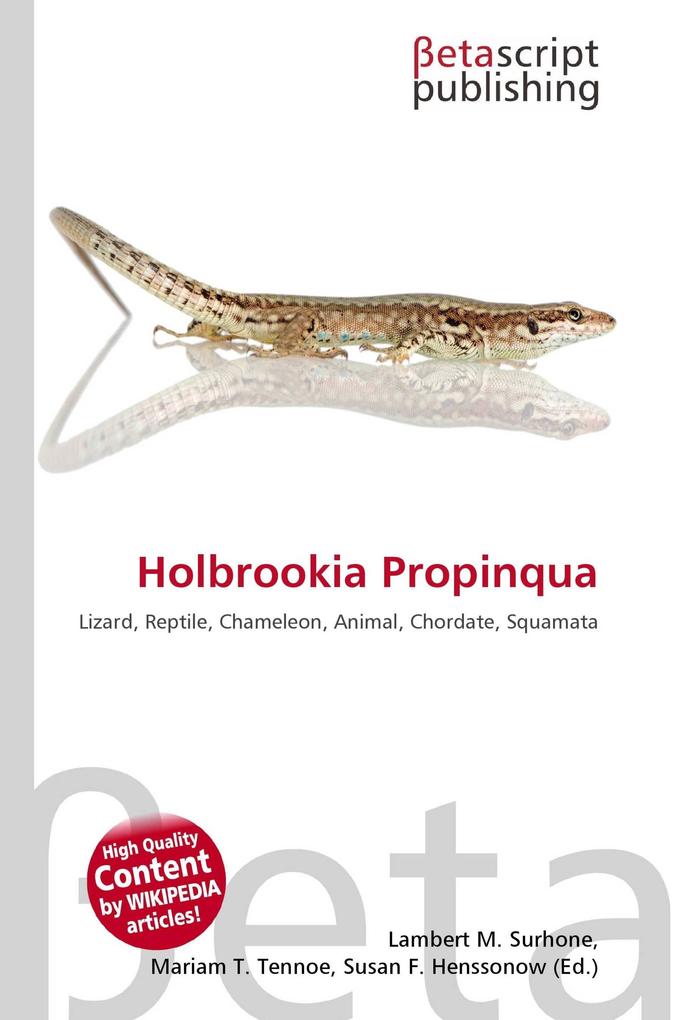 Holbrookia Propinqua