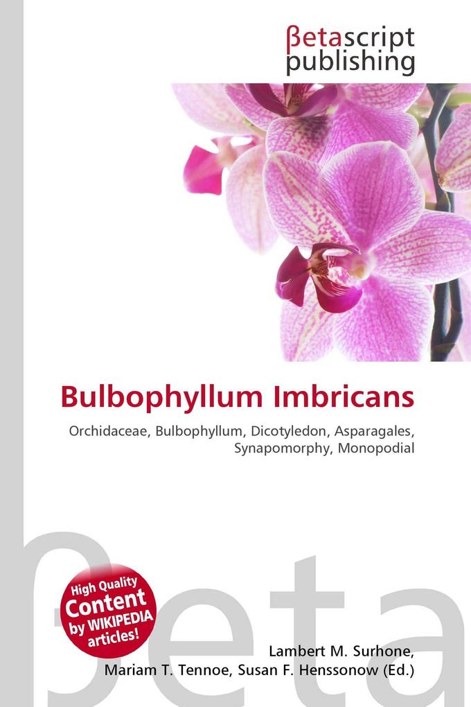 Bulbophyllum Imbricans