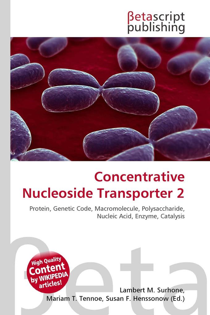Concentrative Nucleoside Transporter 2