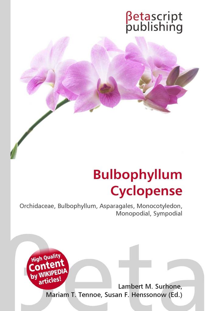 Bulbophyllum Cyclopense