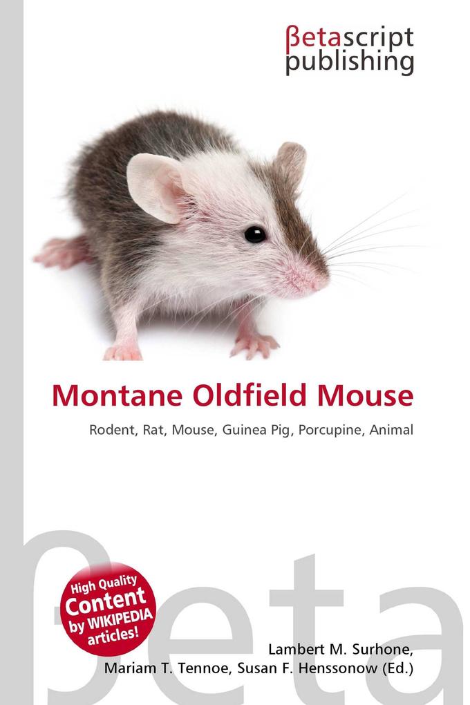 Montane Oldfield Mouse