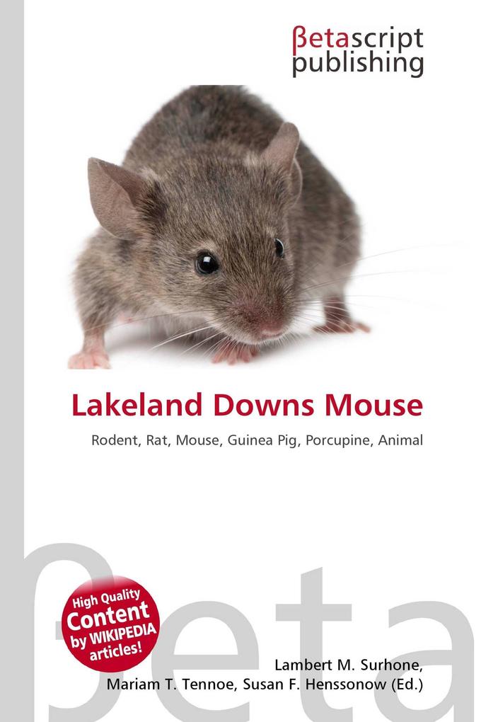 Lakeland Downs Mouse