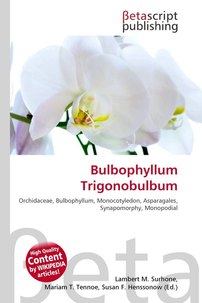 Bulbophyllum Trigonobulbum