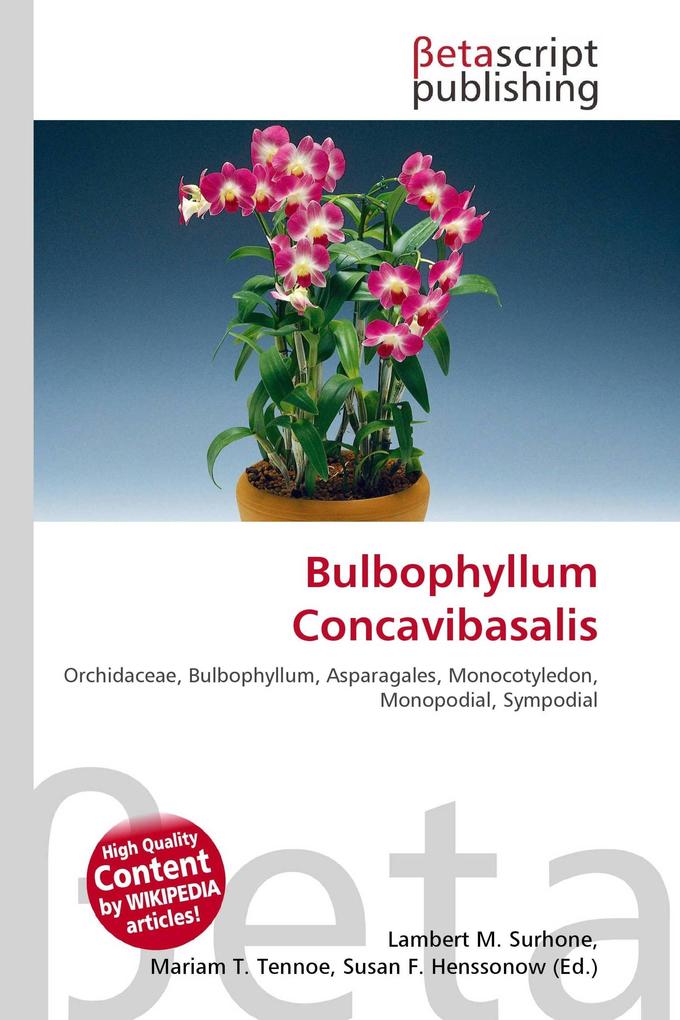 Bulbophyllum Concavibasalis