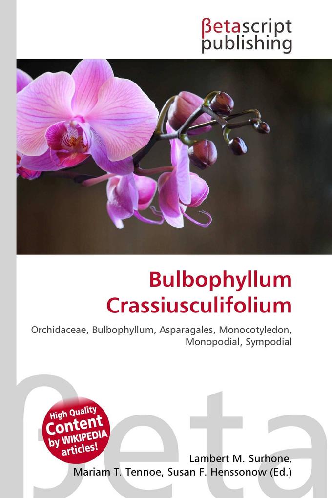 Bulbophyllum Crassiusculifolium