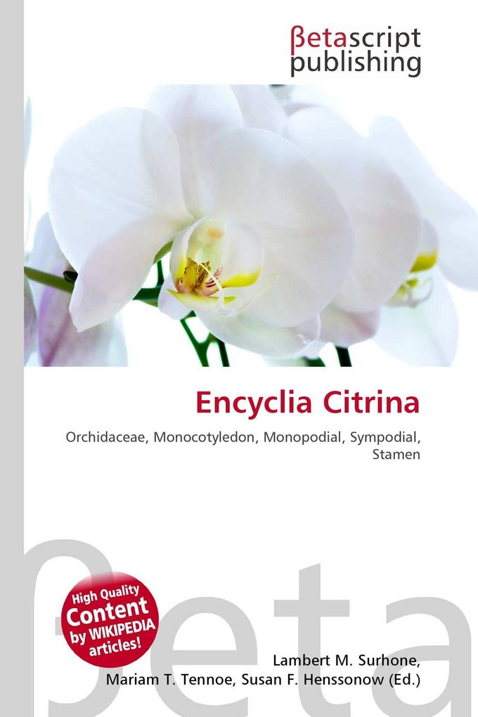 Encyclia Citrina