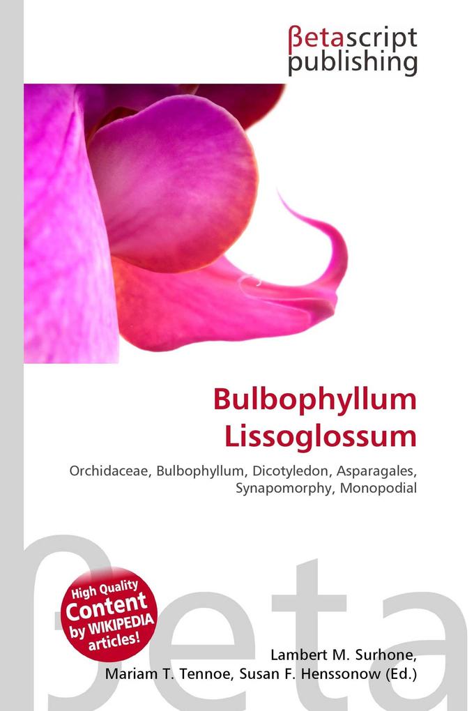 Bulbophyllum Lissoglossum