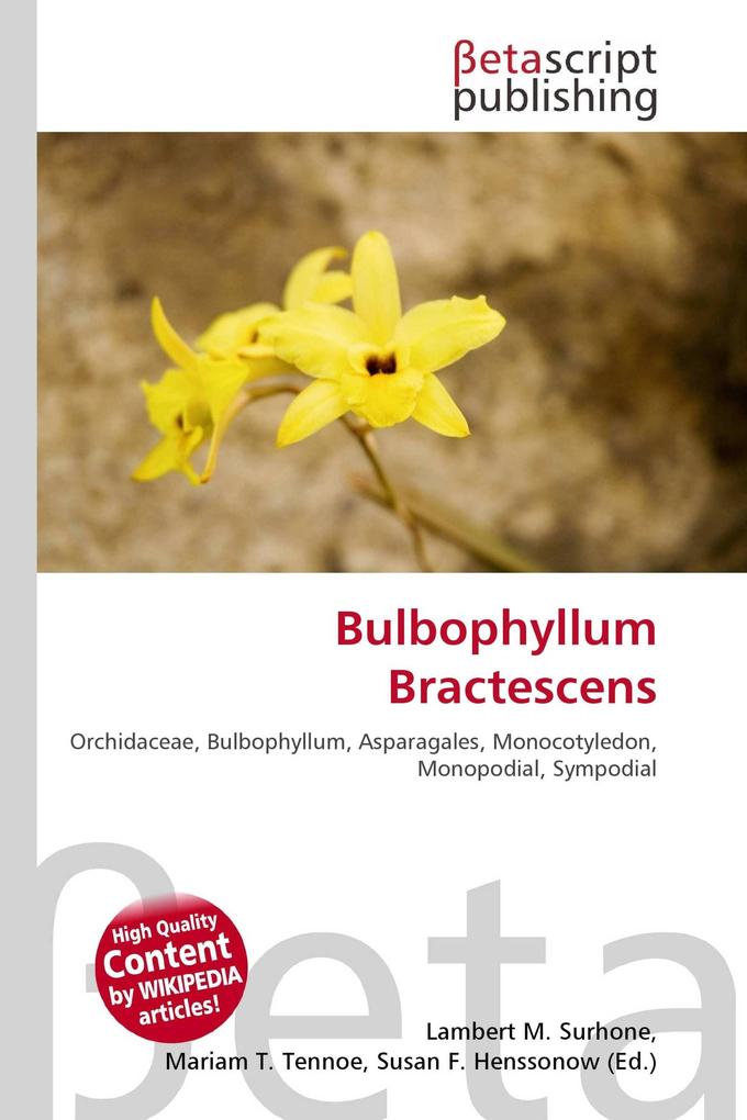 Bulbophyllum Bractescens