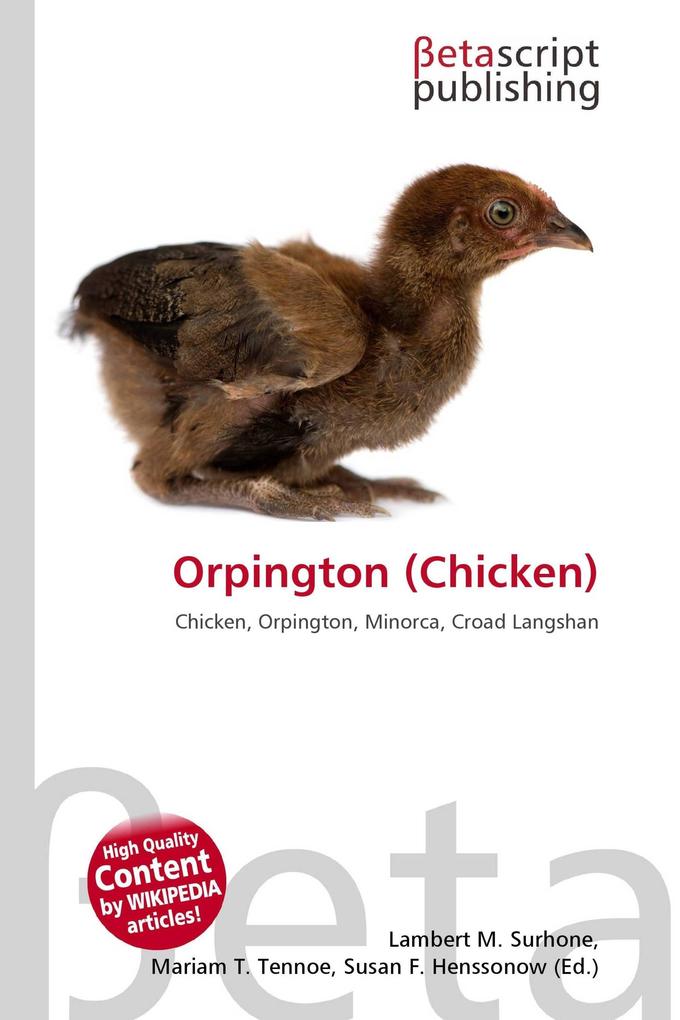 Orpington (Chicken)