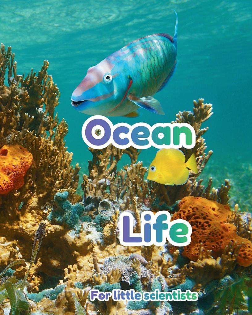Ocean Life