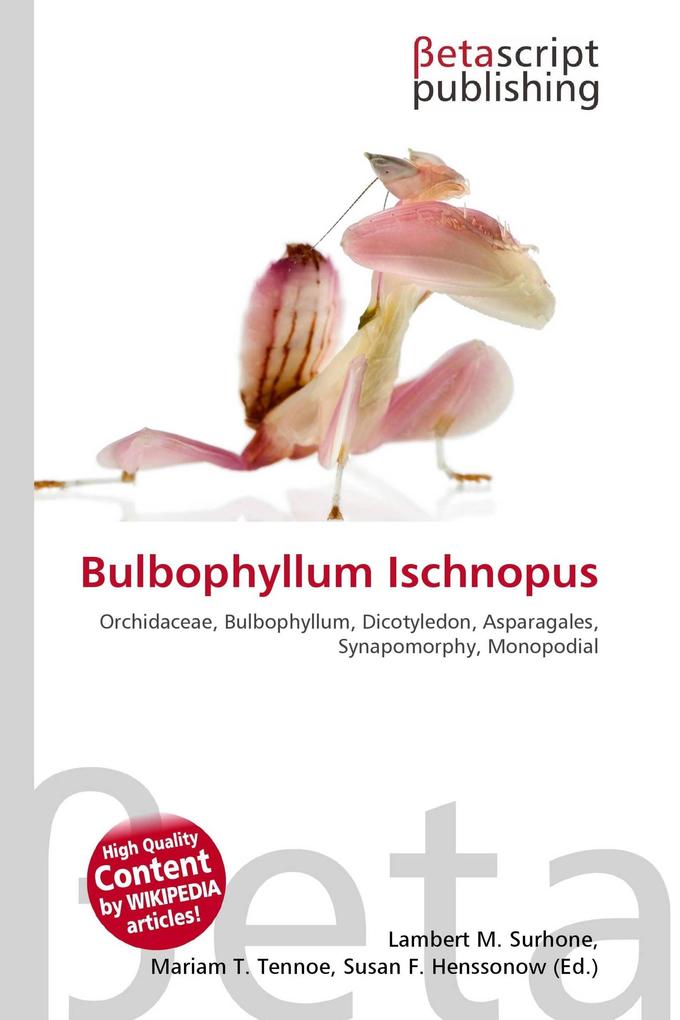 Bulbophyllum Ischnopus
