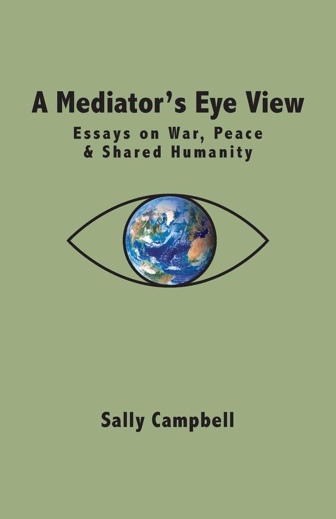 A Mediator's Eye View