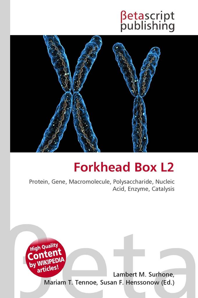 Forkhead Box L2