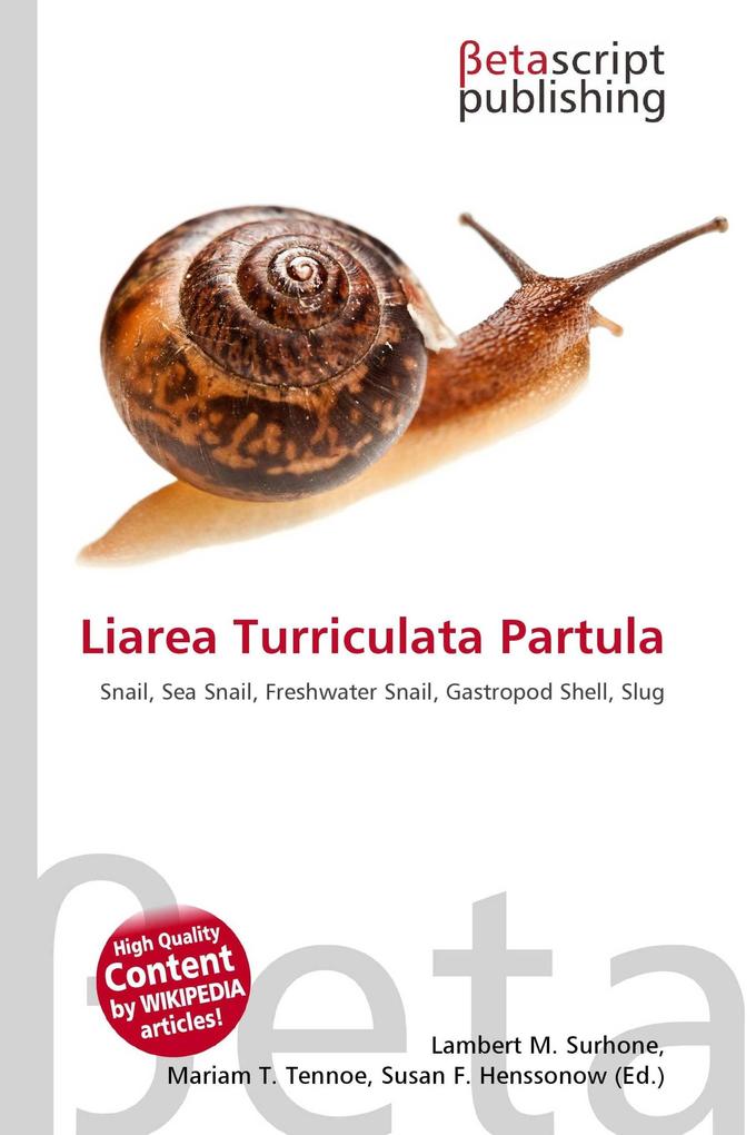 Liarea Turriculata Partula