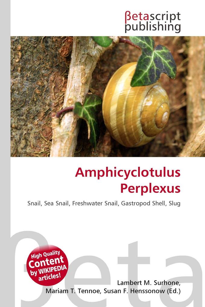 Amphicyclotulus Perplexus