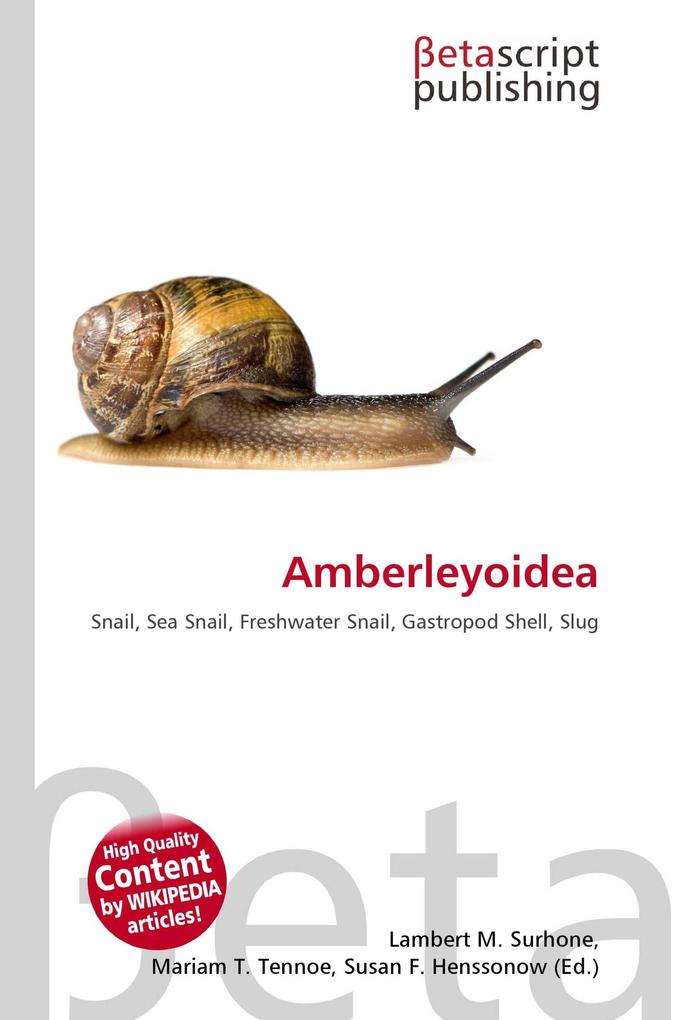 Amberleyoidea